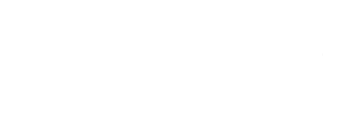 Logo Aggiuntivo
